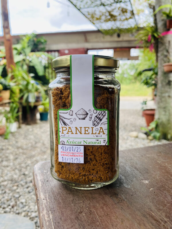 PANELA